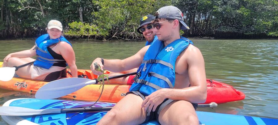 Miami: Biscayne Bay Ultimate Boat Tour with Kayak Experience - Wildlife odds in Biscayne Bay: dolphins, manatees, and what to watch from the boat