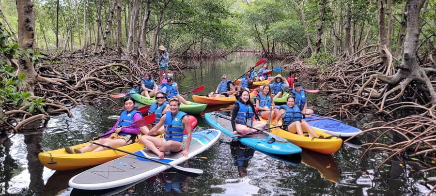 Miami: Biscayne Bay Ultimate Boat Tour with Kayak Experience - What the included food and drinks add (and what you still might want)