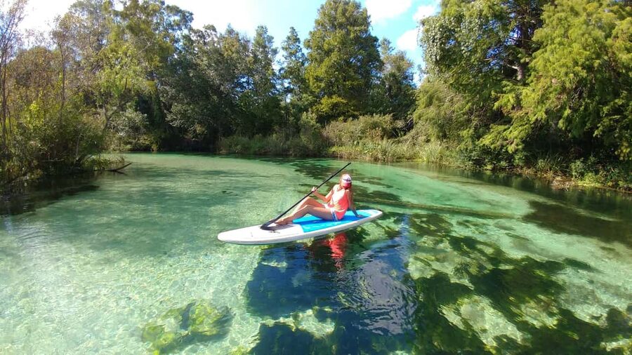 Miami: Biscayne Bay Ultimate Boat Tour with Kayak Experience - Price and value: is $99 fair for this much water time?
