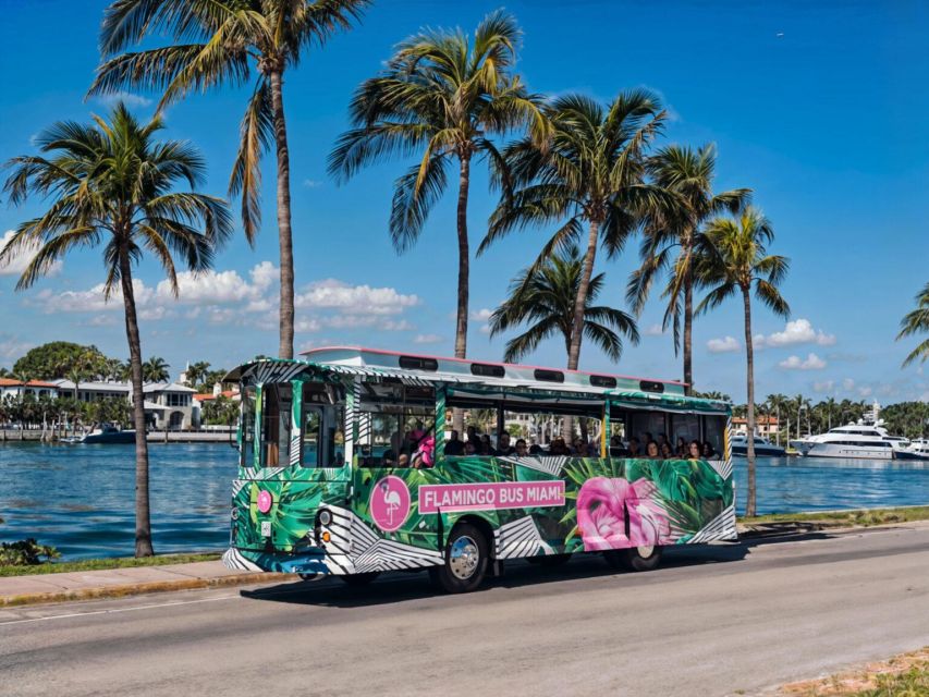 Miami Bus Tour Flamingo Open Air Trolley Bus Tours City Tour - Practical Tips to Make the Most of the 2 Hours