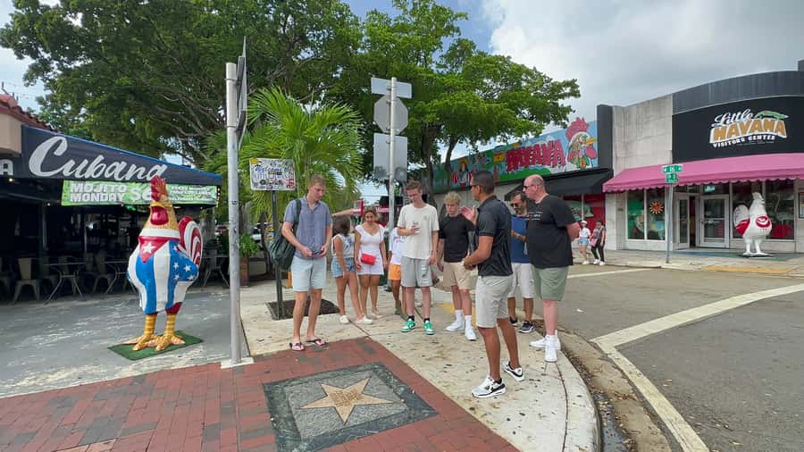 Miami: City Sightseeing and millionaire row boat tour - Wynwood walking tour: murals, street art, and a guide who points