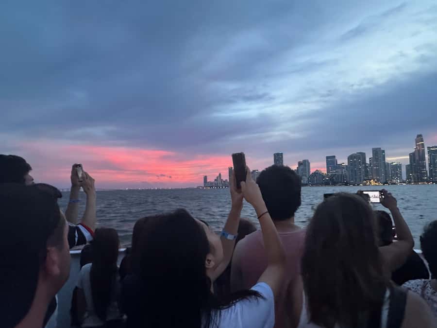 Miami Evening Boat Past Millionaire Homes on Water Taxi - What You’ll See on the Route: Skyline, Islands, and Millionaire’s Row
