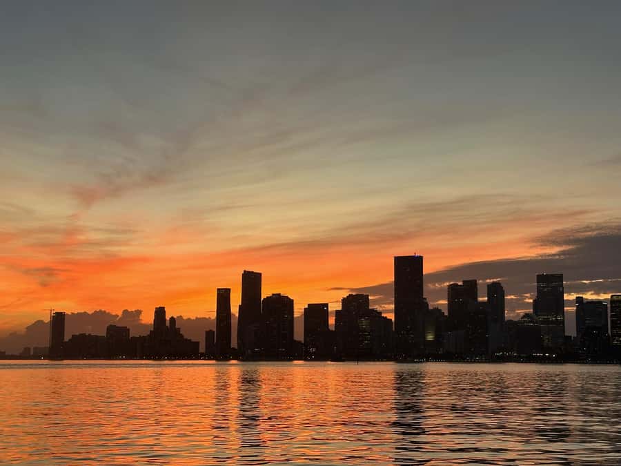 Miami Evening Boat Past Millionaire Homes on Water Taxi - Comfort Tips: Seats, Photos, and Motion