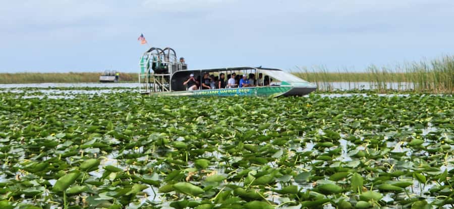 Miami: Everglades Airboat, Gator Encounter & Bus Transfer - Quick booking decision: should you go?