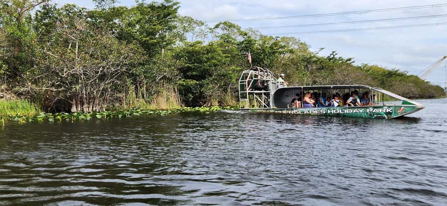 Miami: Everglades Airboat, Gator Encounter & Bus Transfer - Getting from Downtown Miami to the Everglades edge fast