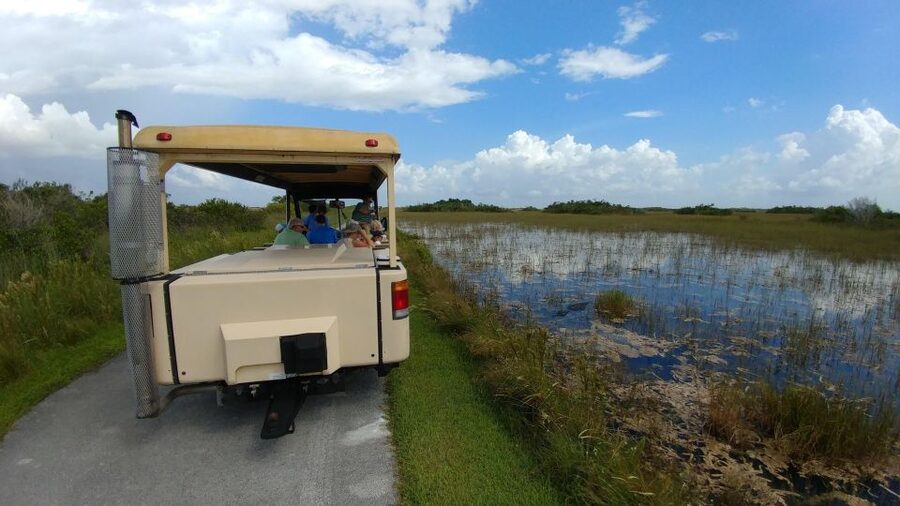 Miami: Everglades Airboat Ride and Tram Tour - Key highlights you will feel immediately