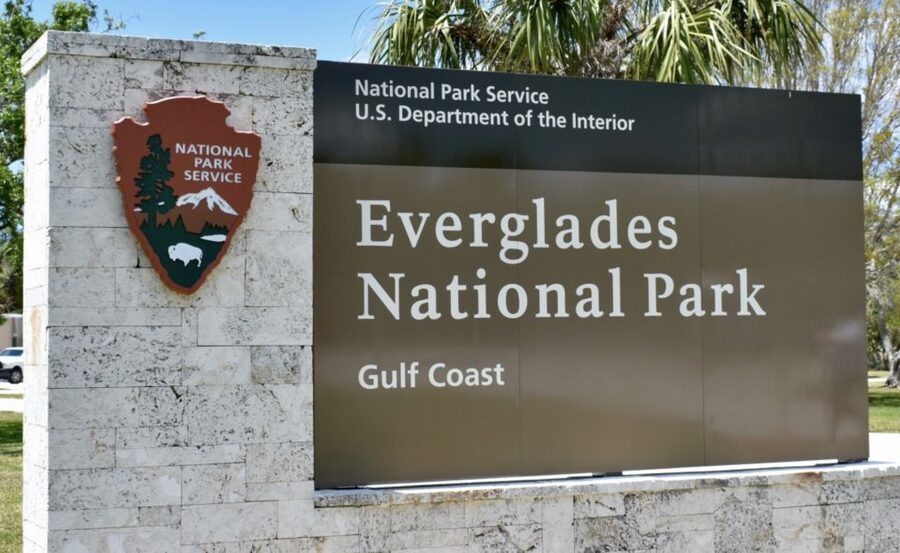 Miami: Everglades Airboat Ride and Tram Tour - Everglades Safari Park airboat: official, fast, and very hands-on