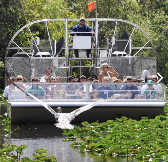 Miami: Everglades Airboat Ride and Tram Tour - Who this tour fits best, and who might want a different option