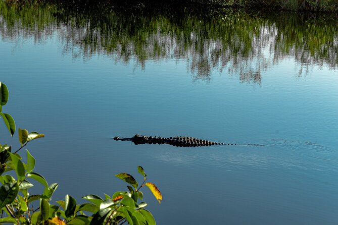 MIAMI: Everglades Airboat, Wildlife Gator Show and Pick-up - Pickup and the bus ride: where your comfort can vary