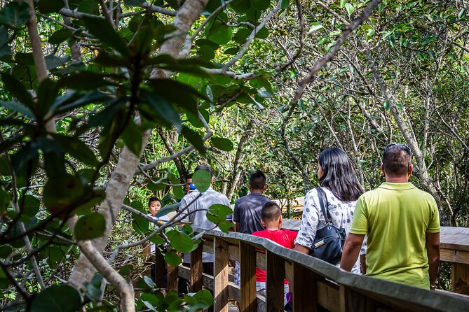 MIAMI: Everglades Airboat, Wildlife Gator Show and Pick-up - The airboat ride: ranger guidance, noise, and the real wildlife search