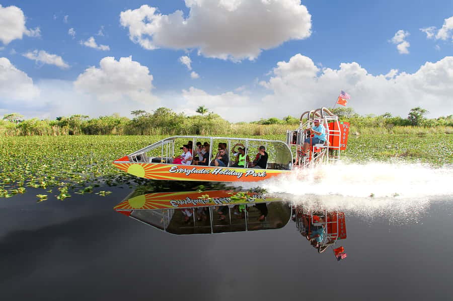 Miami: Everglades Experience, Bay Cruise & Open-Top Bus Tour - Should You Book the Miami Everglades, Bay Cruise and Open-Top Bus Tour?