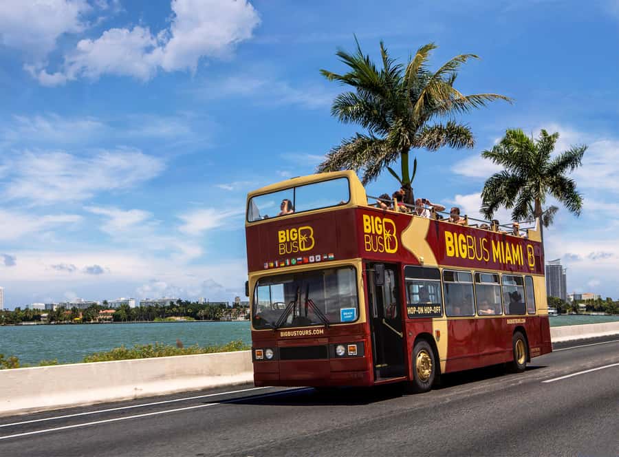 Miami: Everglades Experience, Bay Cruise & Open-Top Bus Tour - Is It Worth $80? What You Get for Your Time and Money