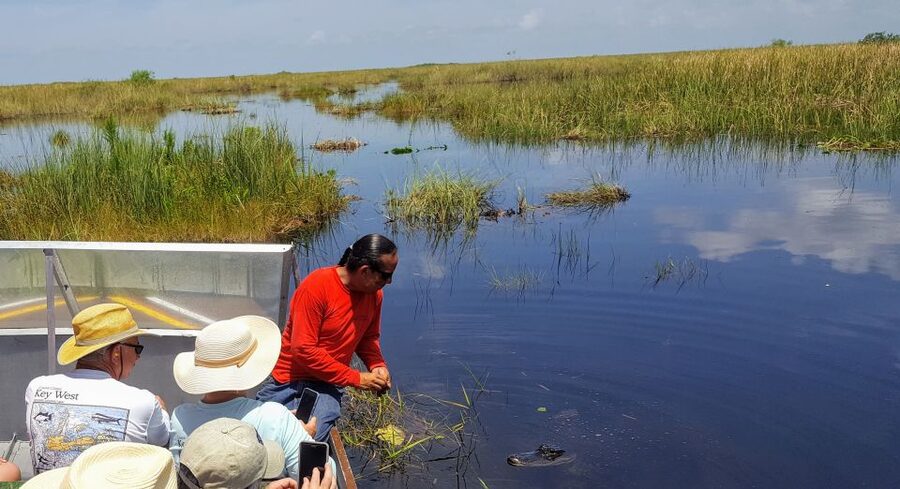 Miami: Everglades Full-Day Tour with 2 Boat Trips and Lunch - Cypress dome guided walk: rare plants and the gator factor