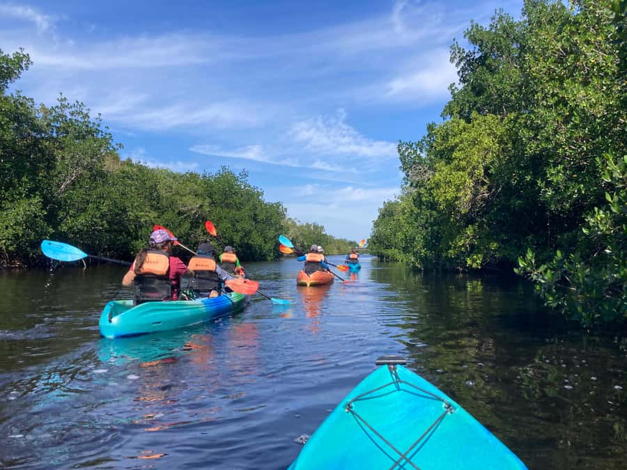 Miami: Everglades National Park Hiking and Kayaking Day Trip - Key Highlights You Should Know