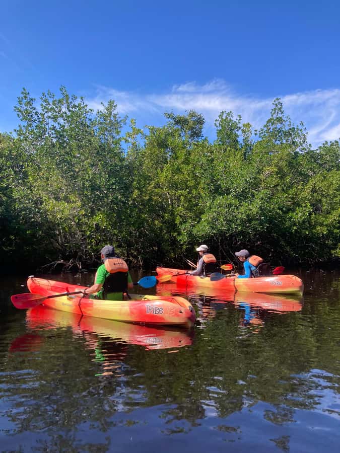 Miami: Everglades National Park Hiking and Kayaking Day Trip - From Miami To the Everglades Gate: Start Smart