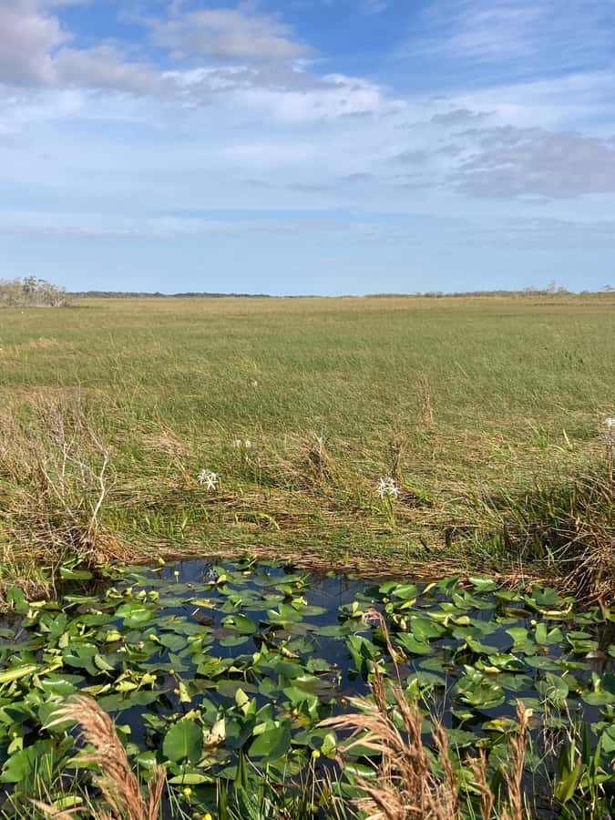 Miami: Everglades National Park Hiking and Kayaking Day Trip - How the Lunch Fits Into a Long Day (And Vegan Options)