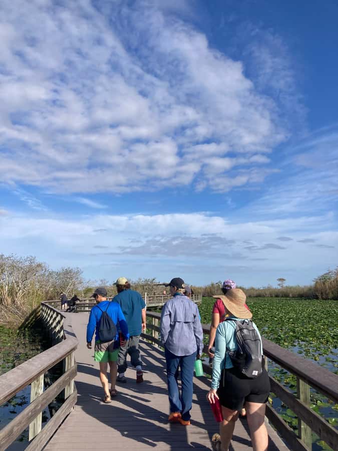 Miami: Everglades National Park Hiking and Kayaking Day Trip - Who Should Book This Everglades Day Trip?