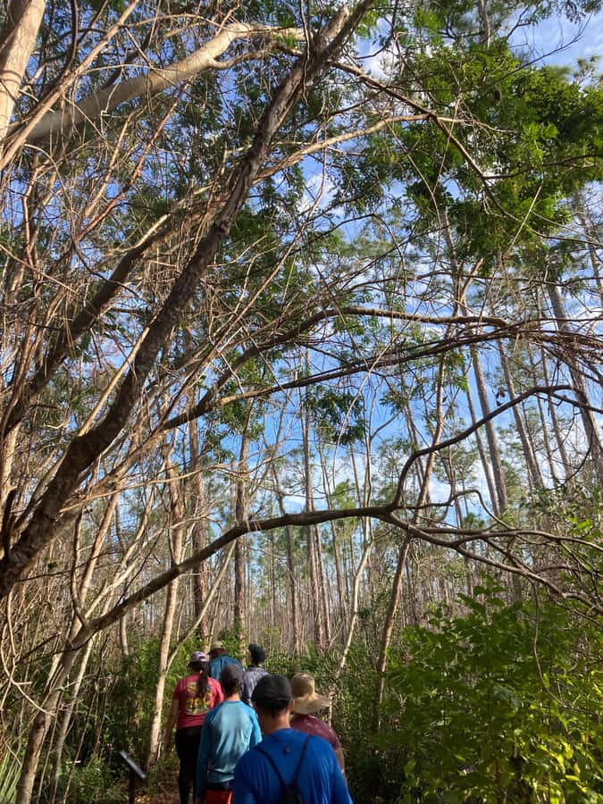 Miami: Everglades National Park Hiking and Kayaking Day Trip - Should You Book It?