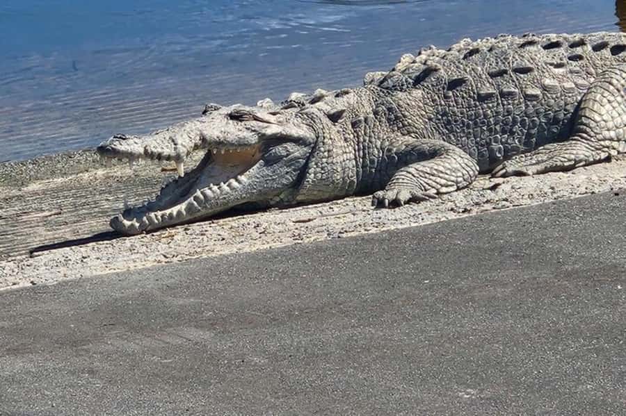 Miami: Everglades National Park Hiking and Kayaking Day Trip - The Hike Portion: Learning the Everglades by Walking It