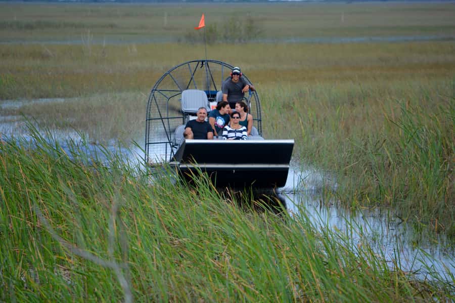 Miami: Everglades River of Grass Small Airboat Wildlife Tour - Entering the Everglades With a Small-Group Setup