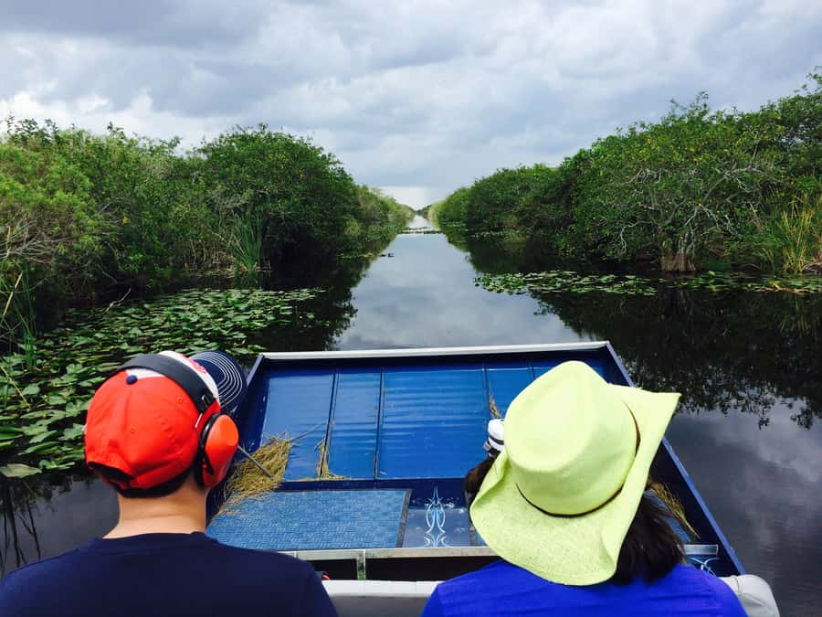 Miami: Everglades River of Grass Small Airboat Wildlife Tour - Wildlife Encounters: Alligators, Birds, and the Small Stuff