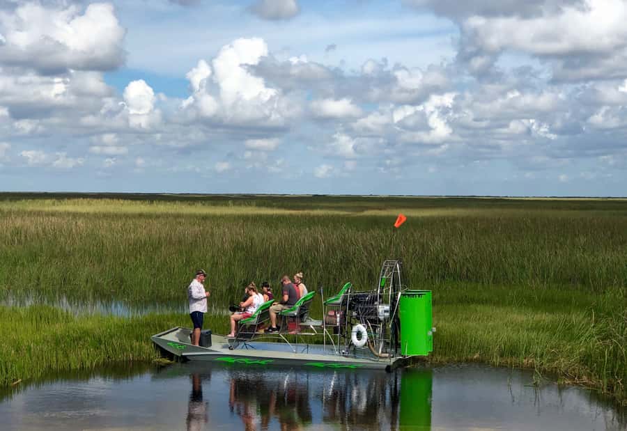Miami: Everglades River of Grass Small Airboat Wildlife Tour - Value and Price: $750 per Group, and When It Works