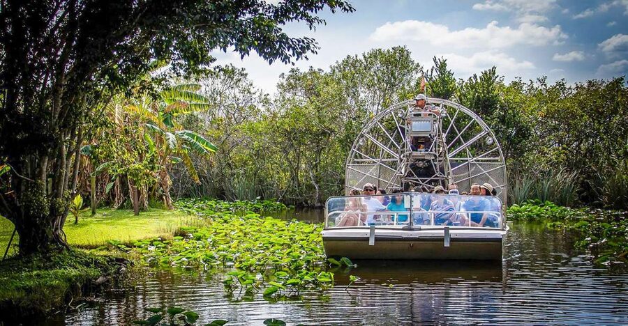 Miami: Everglades Safari Park Airboat Tour - What to Bring, What to Avoid, and Small Comfort Wins