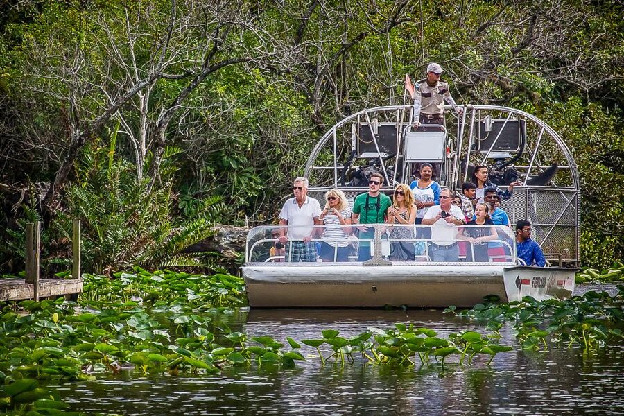 Miami: Everglades Safari Park Airboat Tour - Jungle Trail Boardwalk and Observation Platform: Turn the Trip Into More Than a Ride