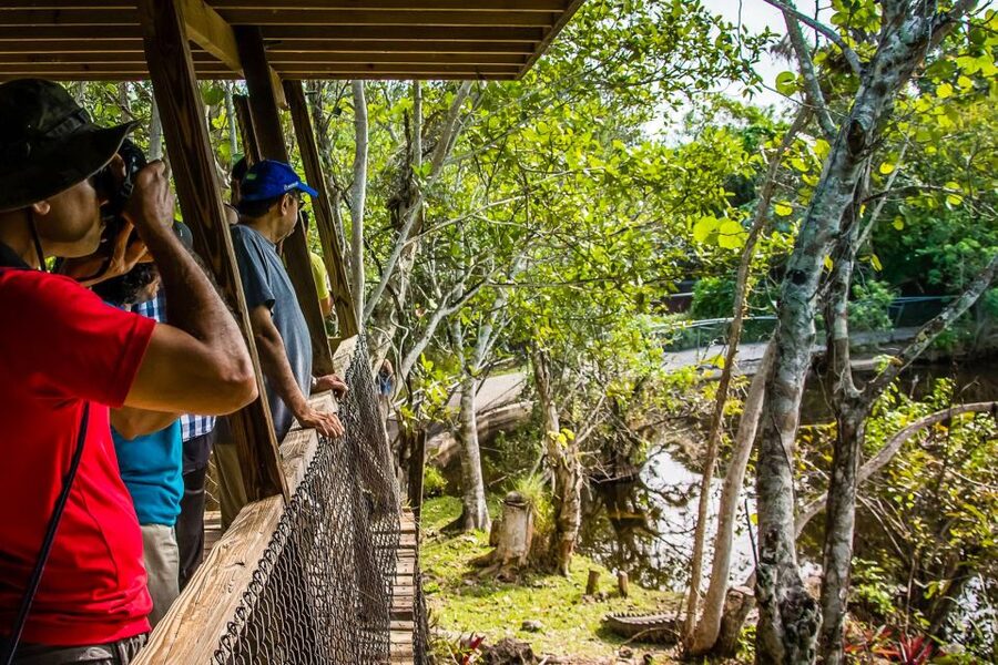 Miami: Everglades Safari Park Airboat Tour - Who This Experience Fits Best (and Who Should Skip It)