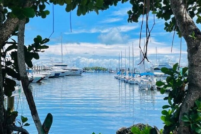 Miami Express Private Boat a 1- Hour Luxury Experience - Safety, Kids, and the One Thing to Plan Ahead