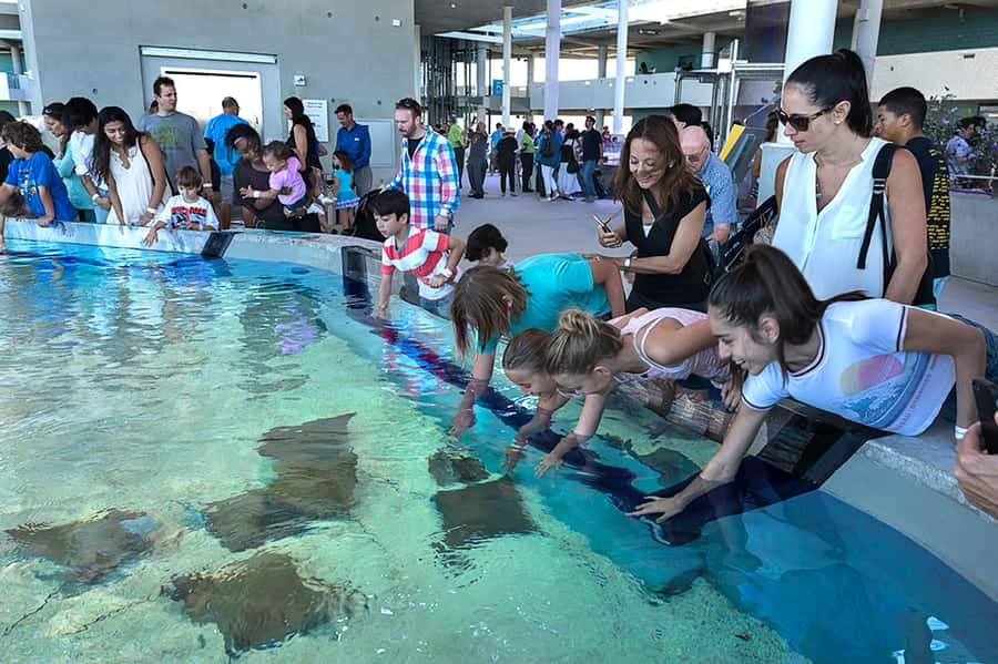 Miami: Frost Museum of Science and Planetarium Entry Ticket - Planetarium shows in the Frost Planetarium: Pick between Dynamic Earth, Black Holes, and more