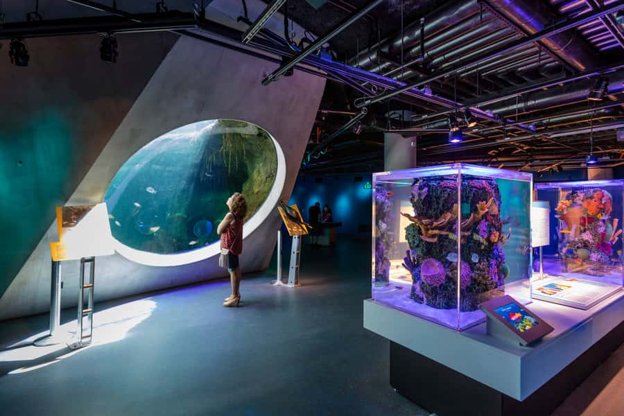 Miami: Frost Museum of Science and Planetarium Entry Ticket - A smooth 3 to 4 hour plan that avoids rushing