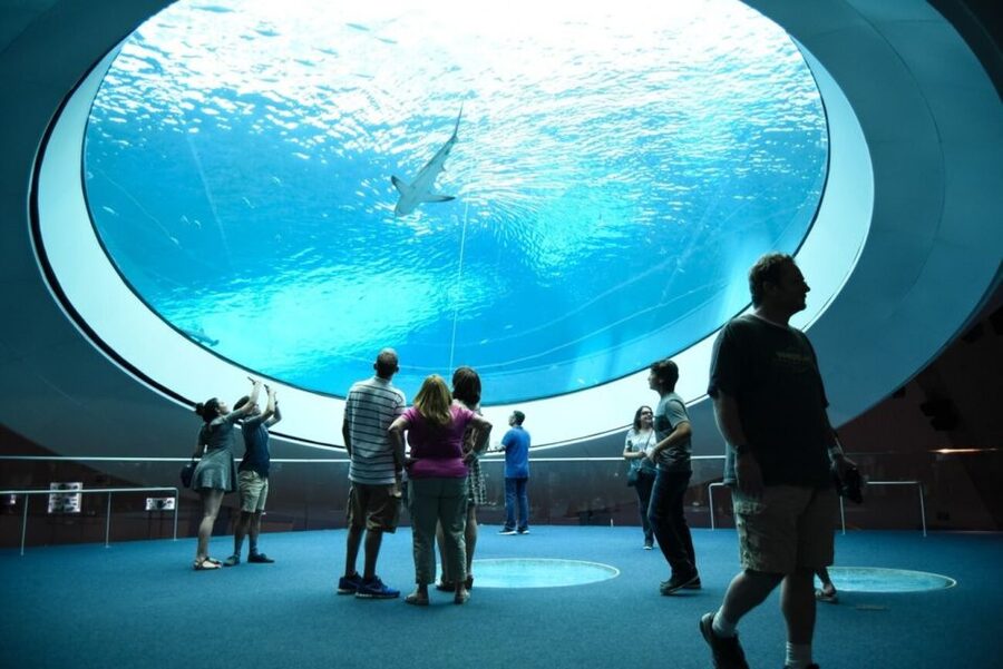 Miami: Frost Museum of Science and Planetarium Entry Ticket - Price and value: Is $30 fair for this Miami science day?