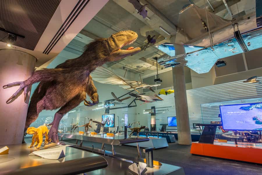 Miami: Frost Museum of Science and Planetarium Entry Ticket - Down in the three-level aquarium: Stingray touch, hammerhead sharks, and jellyfish