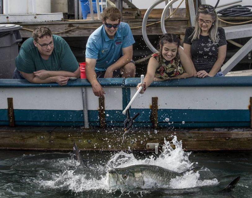Miami: Giant Fish Feeding Experience - Finding Pier 5, Slips 11 and 12, then getting onto the dock