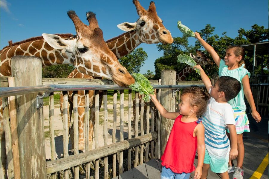 Miami: Go City All-Inclusive Pass with 30+ Attractions - Should you book the Go City Miami All-Inclusive Pass?