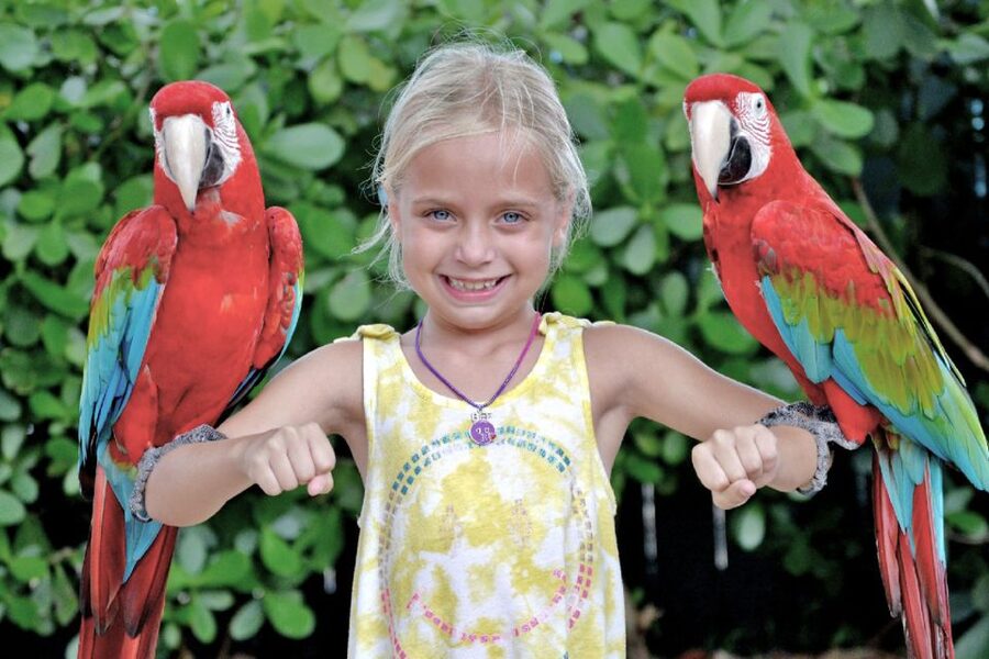 Miami: Go City All-Inclusive Pass with 30+ Attractions - Day trips on the pass: Key West, Fort Lauderdale, and how to fit them