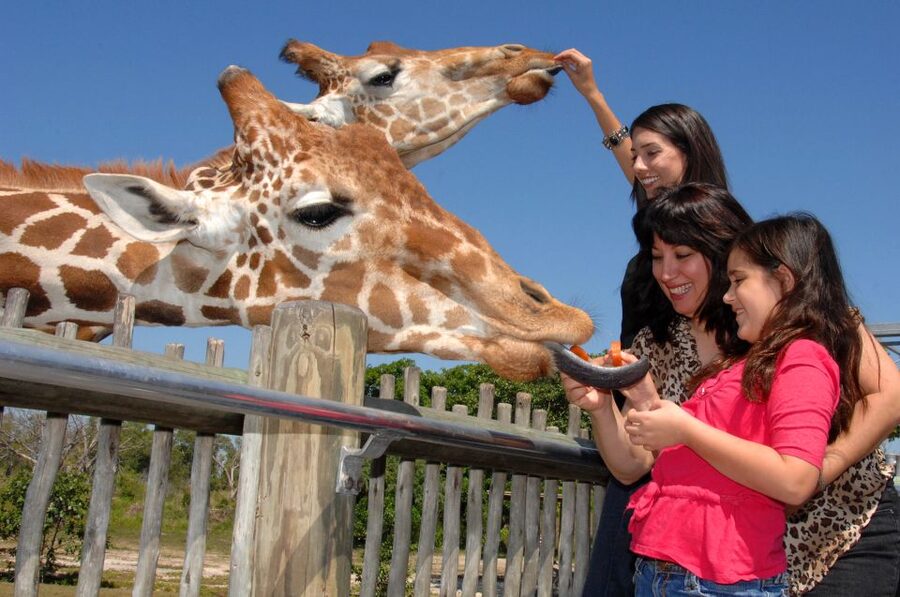 Miami: Go City Explorer Pass - Choose 2 to 5 Attractions - Who this pass suits best, and who should pass