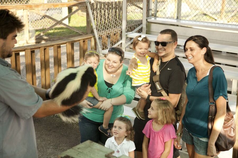 Miami: Go City Explorer Pass - Choose 2 to 5 Attractions - Small details that can make a big difference