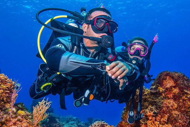 Miami Guided 2-Tank Scuba Diving: South Florida’s Reefs & Wrecks - Two underwater stops: wreck time at 18-21 meters, reef time at 10 meters