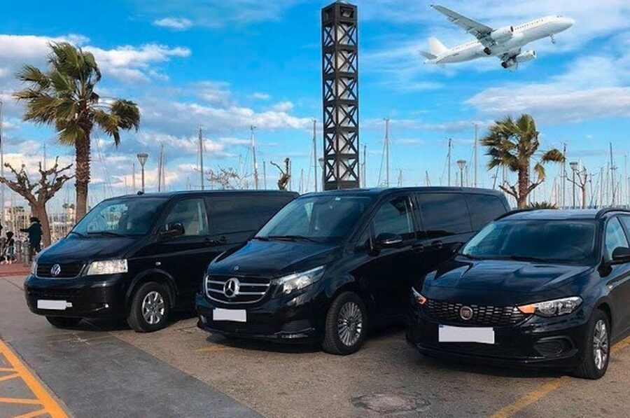 Miami: Guided Tour with Transfer from Cruise Port to Airport - Key highlights worth planning around