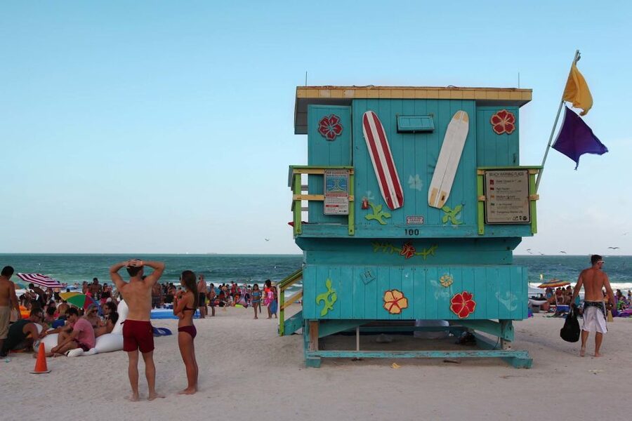 Miami: Half-Day City Tour Highlights - Brickell Avenue, Downtown Heat, and a Quick-But-Intense Feel
