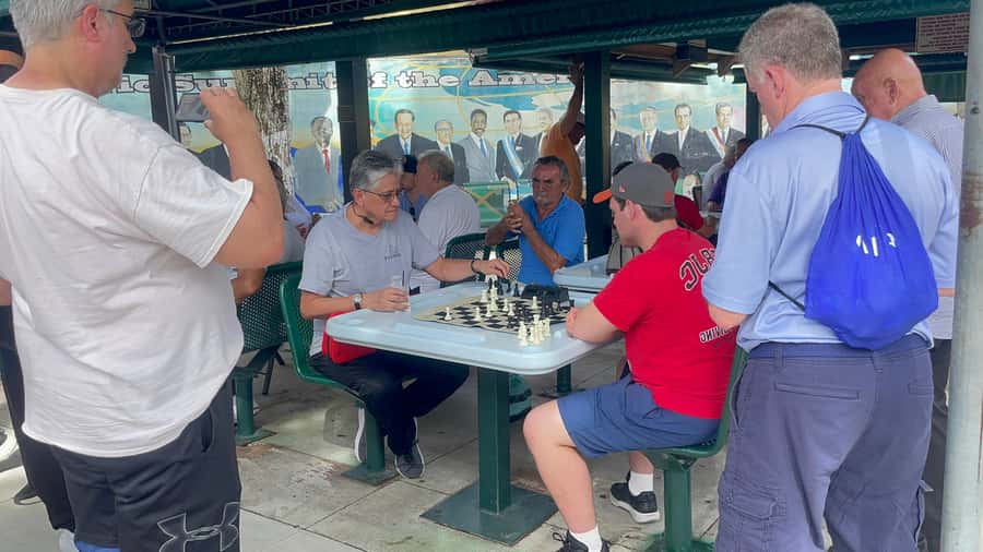 Miami: highlights Walking & Sightseeing tour - Price and value: why $32 can work (and when it might not)
