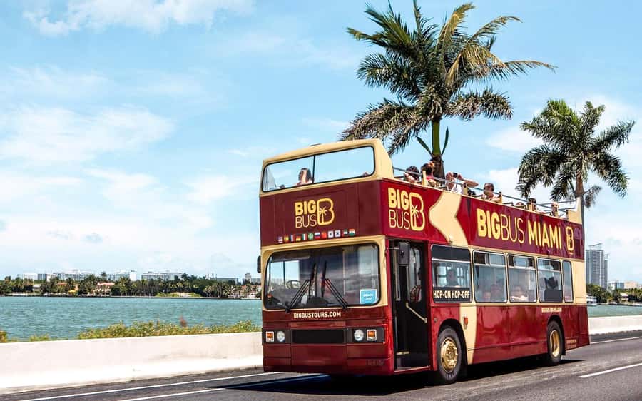 Miami: Hop-on Hop-off Open-top Bus Tour and Optional Cruise - Why this bus tour works for Miami so well