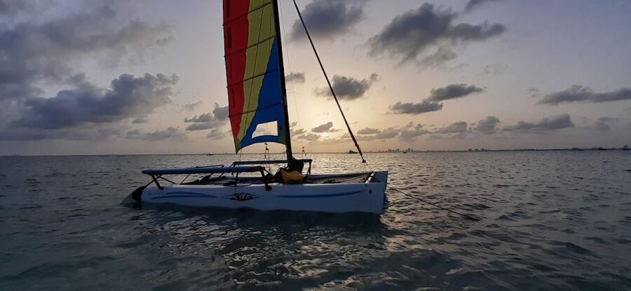 Miami: Intimate Sailing in Biscayne Bay w/ Food and Drinks - Swimming and Snorkeling: When It’s Worth Getting in