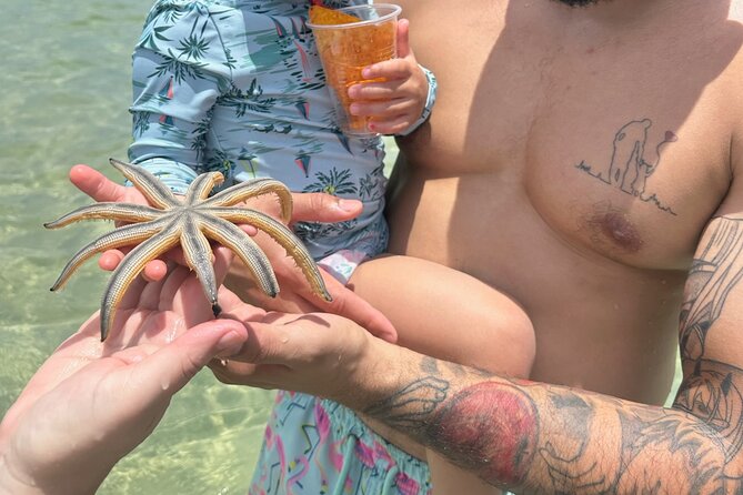 Miami Island Adventure: Boat Rental to Raccoon Island - Price and value: the $150 group rate plus captain fee