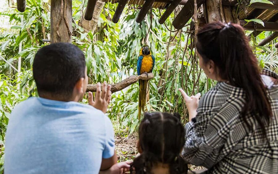 Miami: Jungle Island General Admission - Key things that make Jungle Island General Admission worth your time