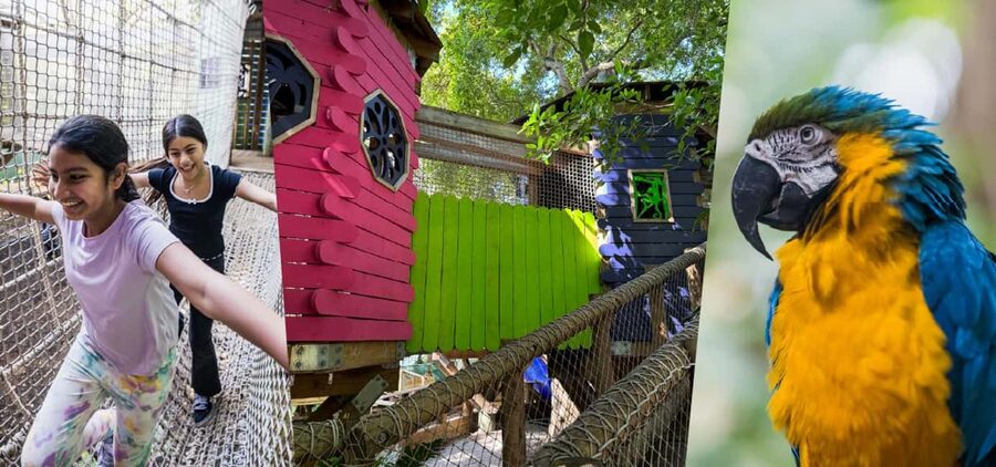 Miami: Jungle Island General Admission - Jungle Island in Miami, the vibe you should expect