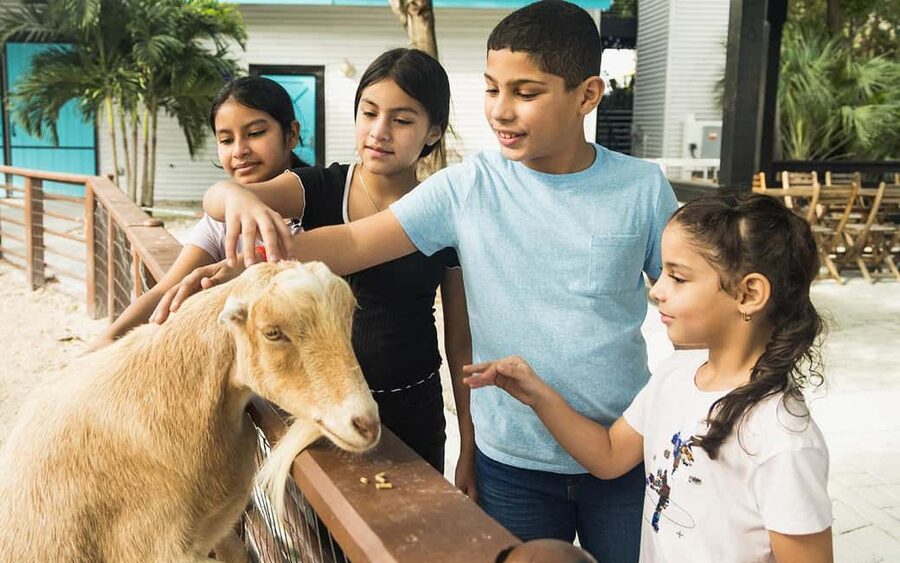 Miami: Jungle Island General Admission - Price and value at $32, plus the costs that can sneak up