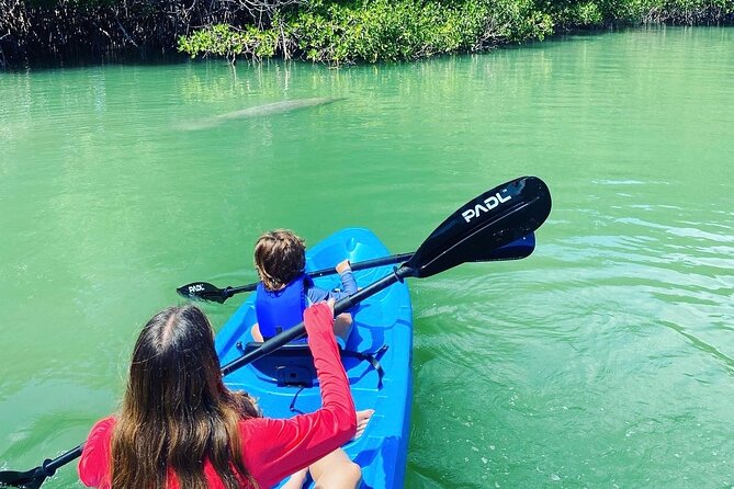 Miami Kayak and Paddleboard Rentals in Virginia Key - Choosing your ride: paddleboard, single kayak, or tandem kayak